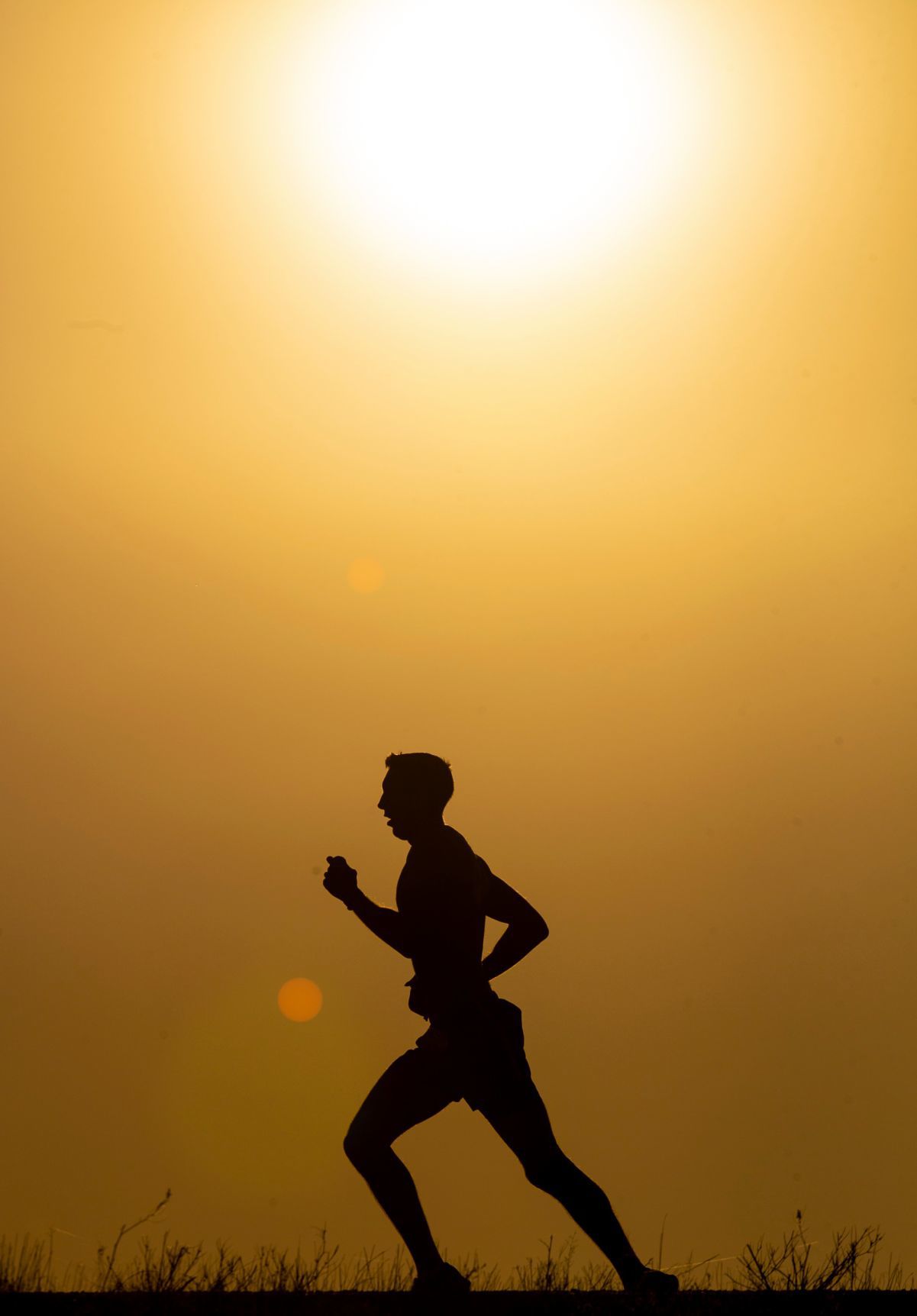 Runners participate in 2019 Montana Marathon